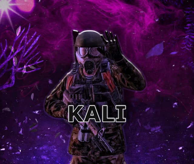 Чит на Kali