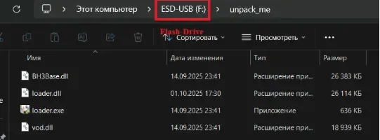 Instructions for Launching Covcheg for Rainbow 6 Siege — Step 2. Downloading the software