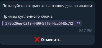 TG | Инструкция для NFA-Аккаунтов — 7) Отправьте свой ключ активации в чат с ботом для проверки и получения доступа