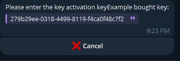 TG | Instructions for NFA Accounts — 7) Send your purchase key in the chat to validate your access