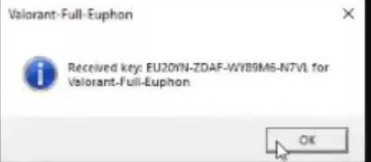 Инструкция для Euphon | Valorant — Авторизация