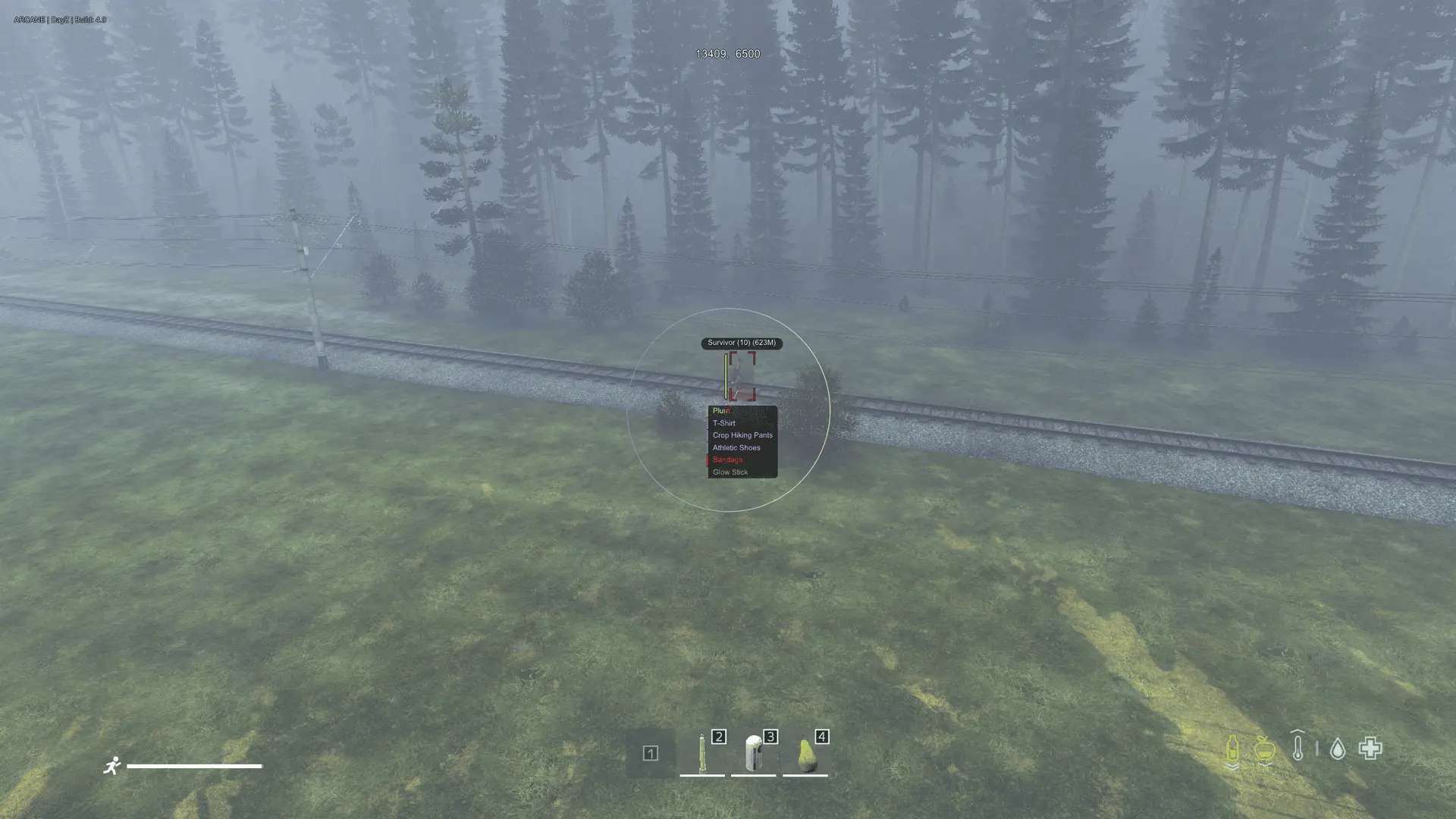 Скриншот чита Arcane для DayZ - 3
