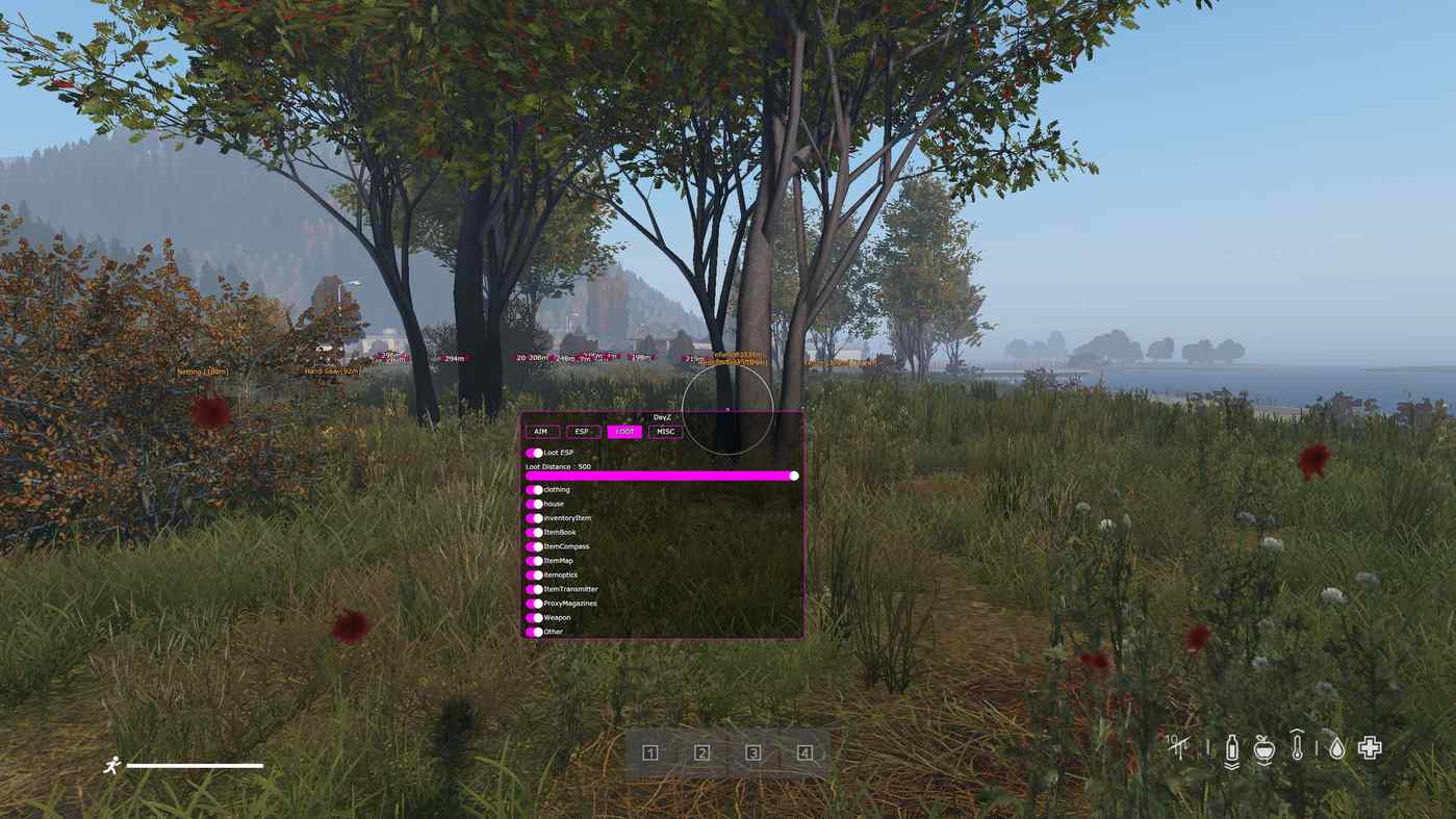 Скриншот чита Covcheg для DayZ - 1
