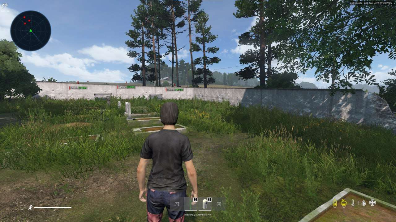 Скриншот чита Kali для DayZ - 1