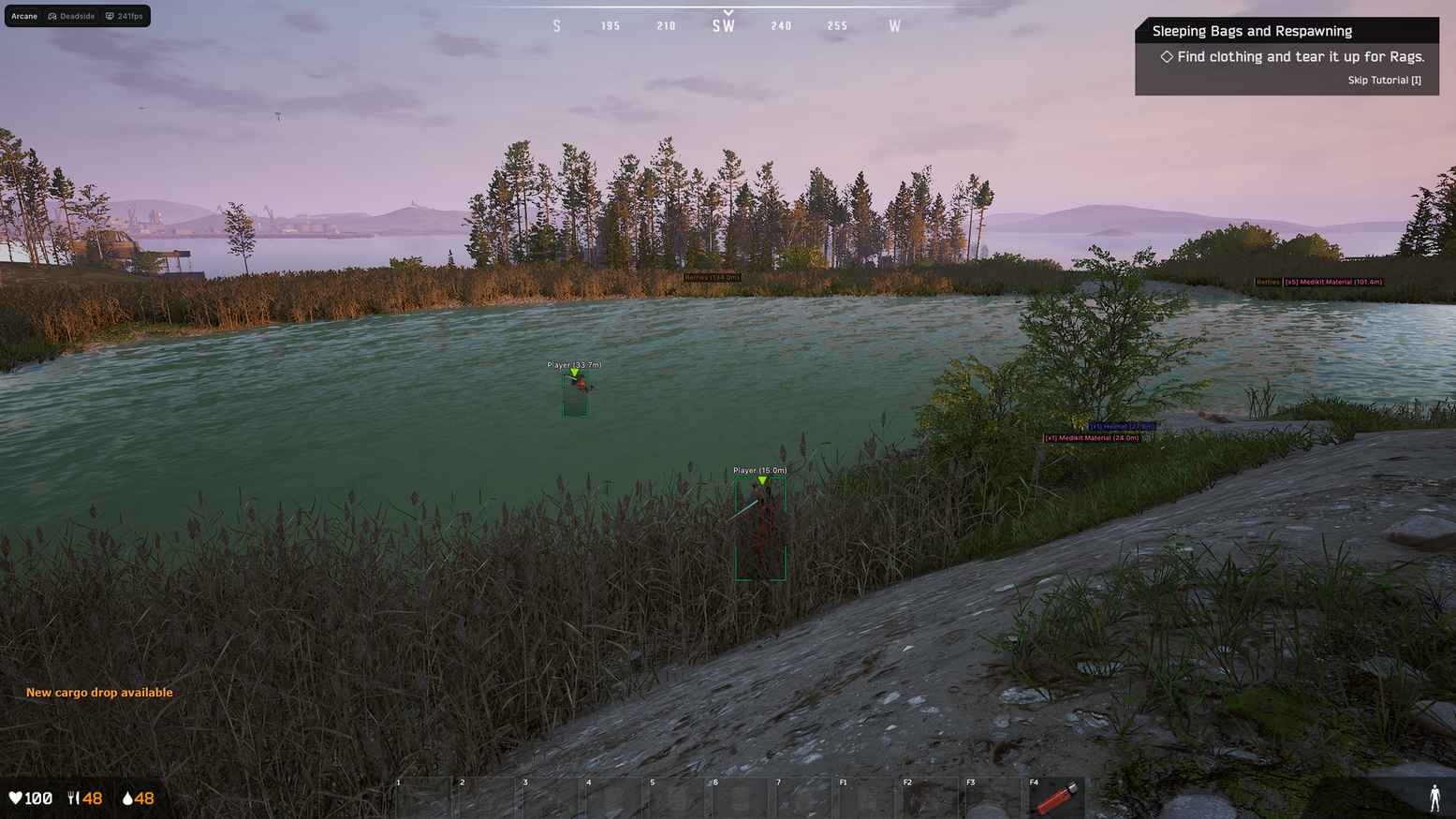 Arcane cheat for DeadSide - screenshot 2