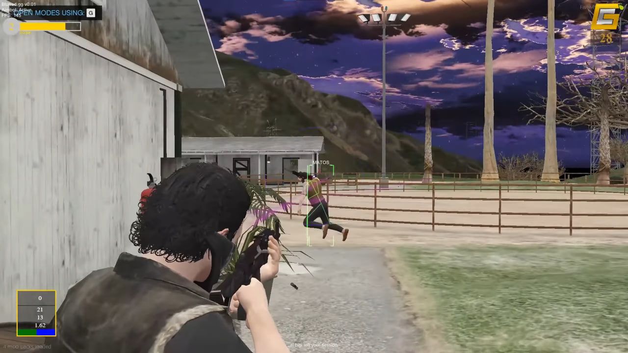 Скриншот DMA-чита Blurred GTA 5 - 2