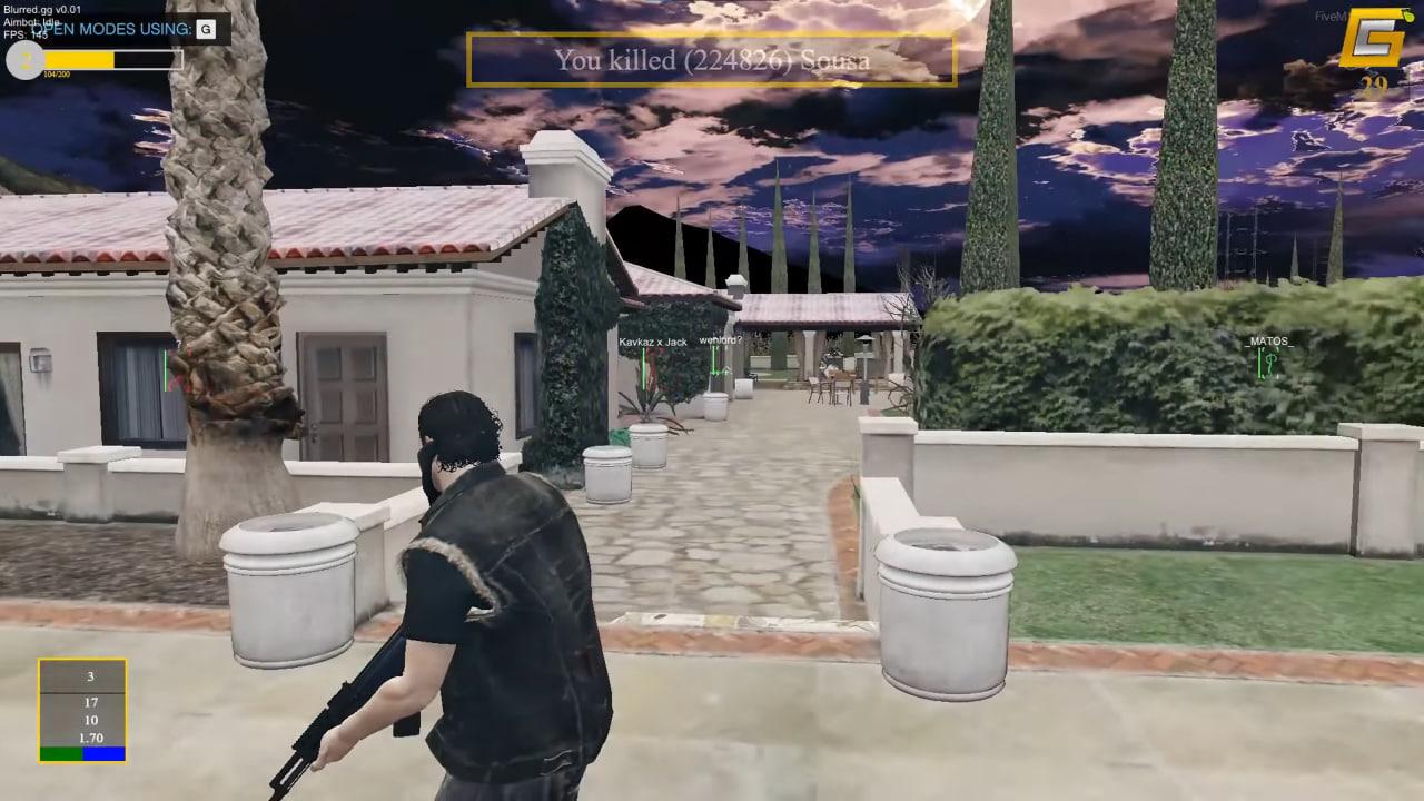 Скриншот DMA-чита Blurred GTA 5 - 3