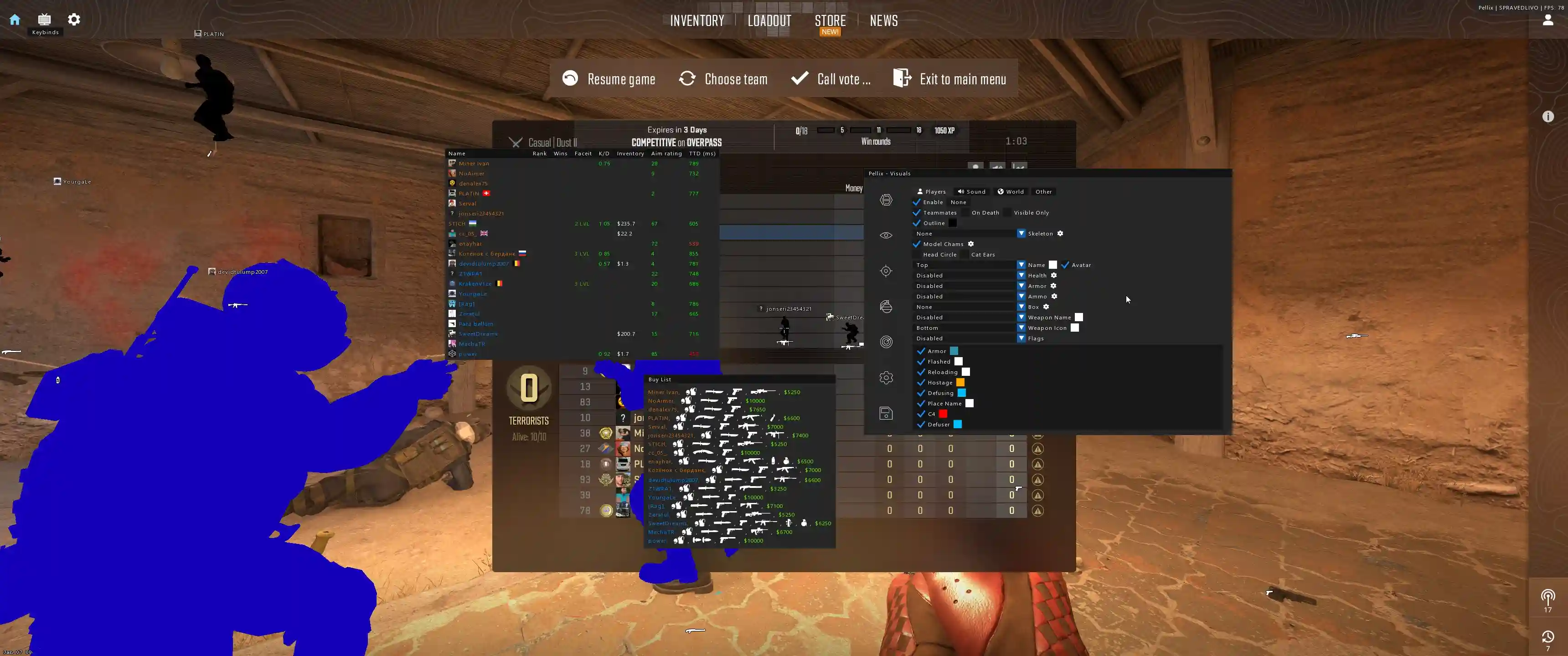 Pellix cheat for Counter-Strike 2 - screenshot 2