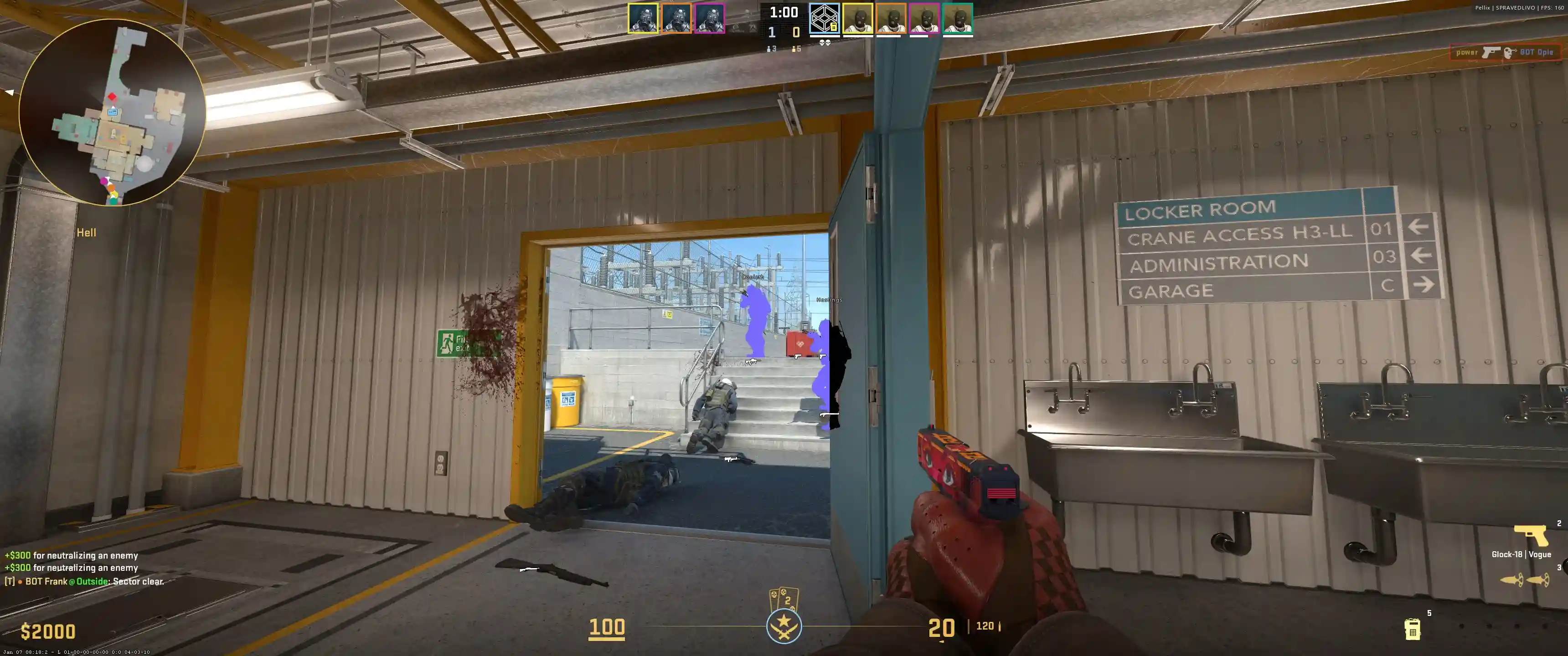 Скриншот чита Pellix DMA Counter-Strike 2 - 1