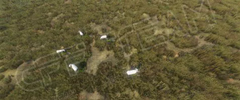CFF cheat for DayZ Standalone - screenshot 1