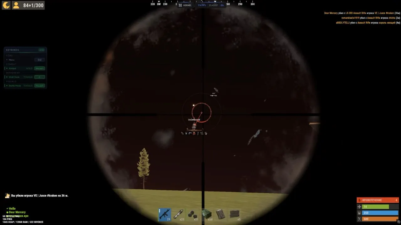 Скриншот чита Xernel для Rust - 5
